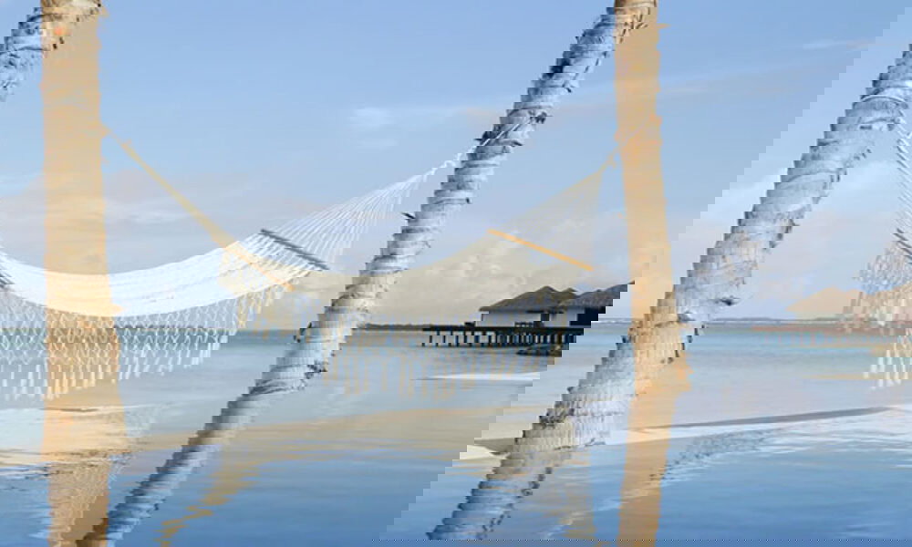 Traumhafte Hängematte über einem Infinity Pool, von Palmen gehalten, mit weitem Blick auf den türkisfarbenen Ozean und Wasservillen.