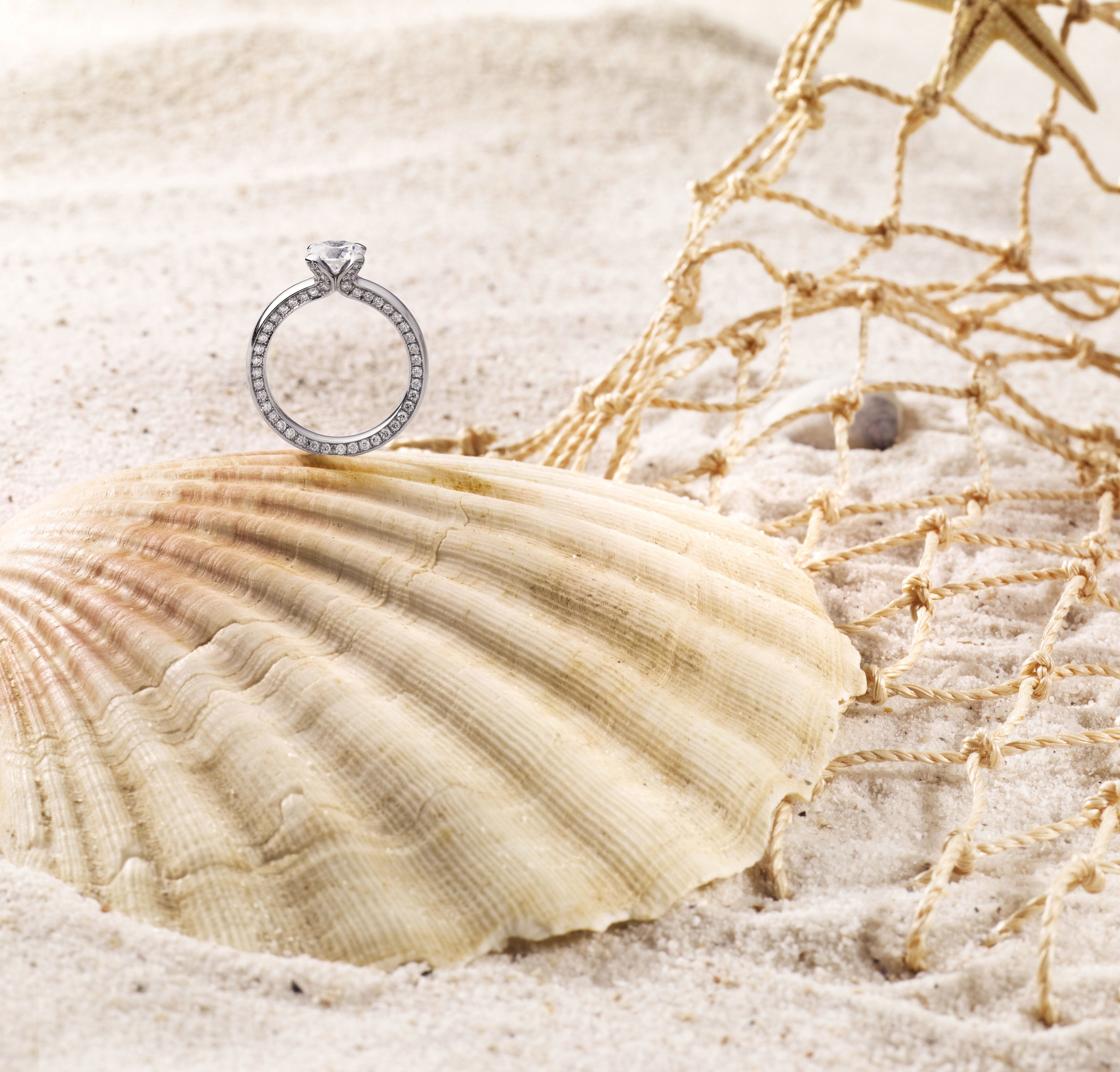 Verlobung, Verlobungsring, Muscheln, Diamanten, Ring, Verlobung verkünden