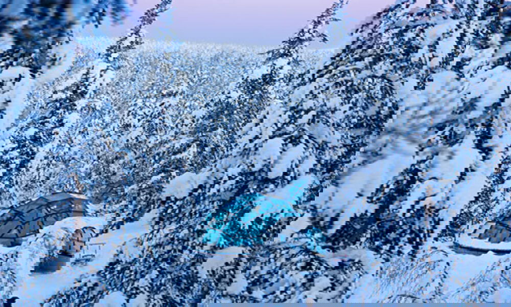 Verschneite Tannen umgeben ein Glasdach-Iglu im Winterparadies von Lappland, das mit seiner ruhigen Lage zur Beobachtung der Nordlichter einlädt.