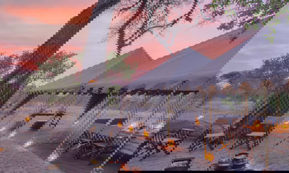 Glamping-Zelte unter einem großen Baum, beleuchtet von Laternen, in einer romantischen Umgebung bei Sonnenuntergang.