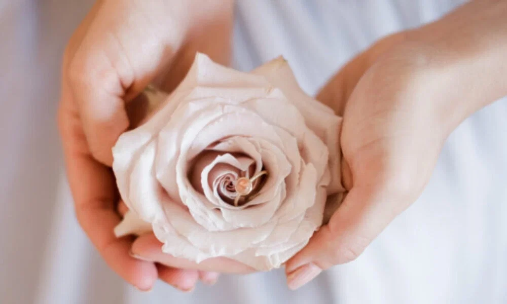 Eine zarte Rose in Händen, die zwei Eheringe im Inneren birgt – perfekt für eine romantische und symbolische Hochzeitsfotografie.