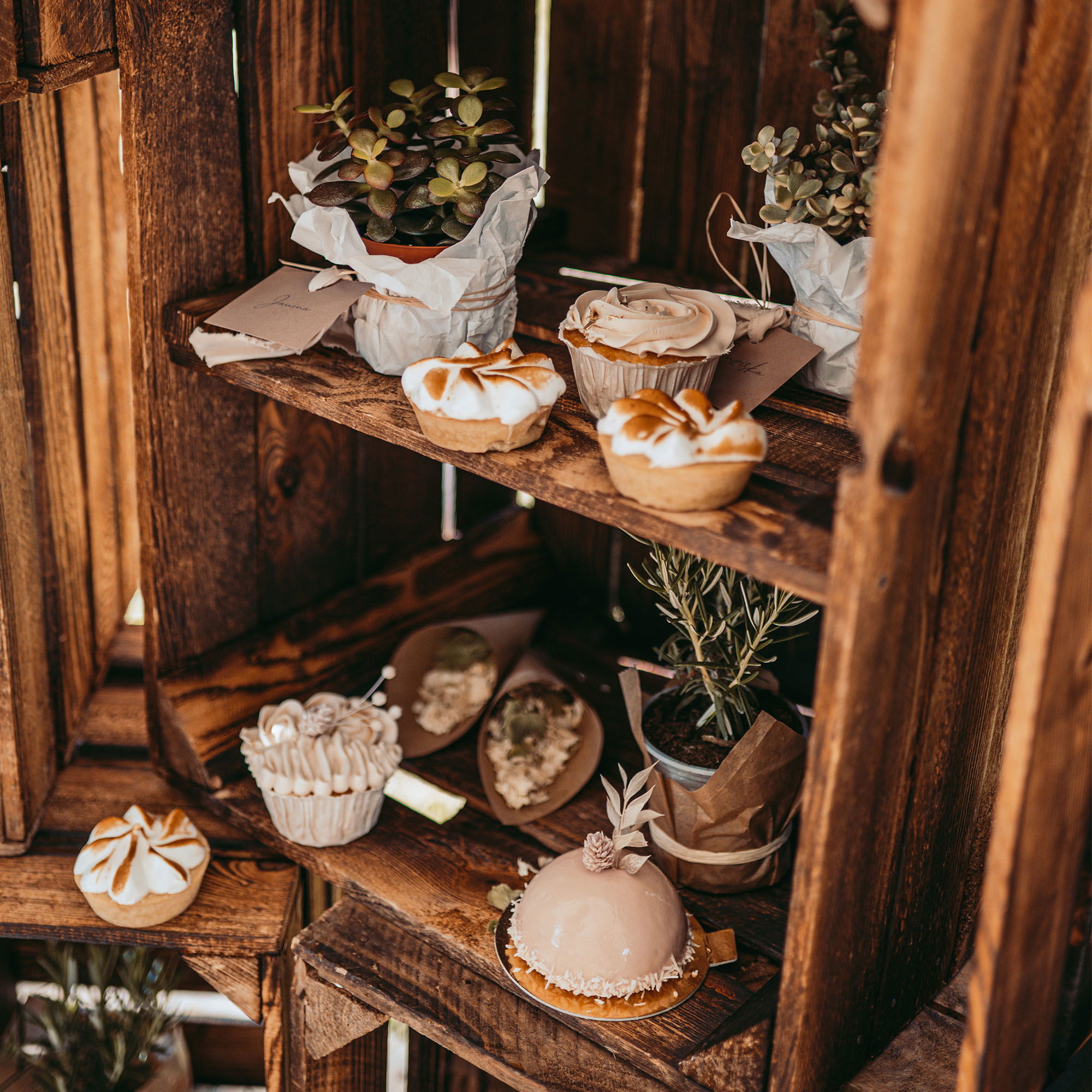 Handgemachte Desserts und Topfpflanzen in einer Holzkiste, rustikal präsentiert für eine freie Trauung im Freien.