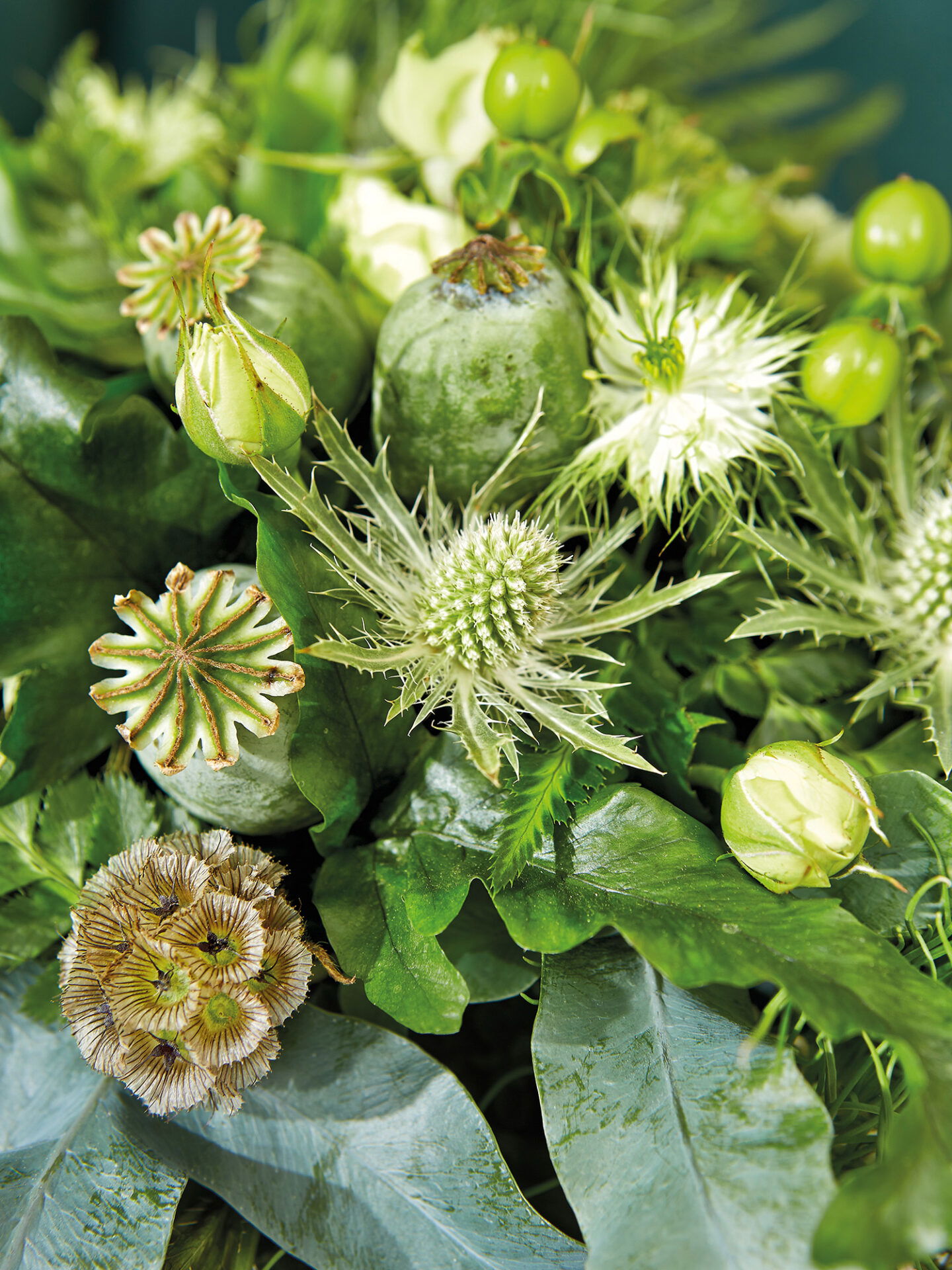 Ein grüner Strauß, der mit Disteln, grünen Blättern und Knospen dekoriert ist, bringt eine lebendige und erfrischende Note in das Blumenarrangement.