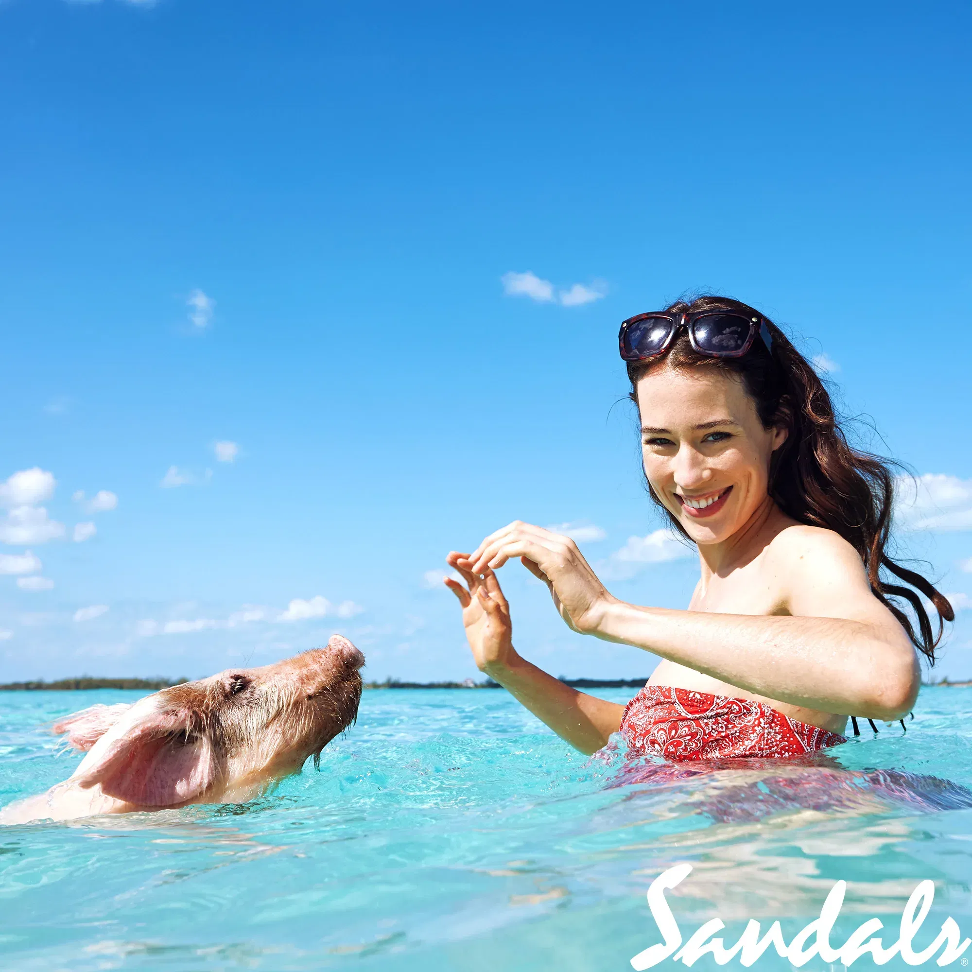Eine Frau mit langen braunen Haaren im roten Badeanzug genießt das warme Wasser und den klaren blauen Himmel, während ein Schwein neben ihr schwimmt. Die entspannte und lustige Szene spielt sich an einem tropischen Strand ab.