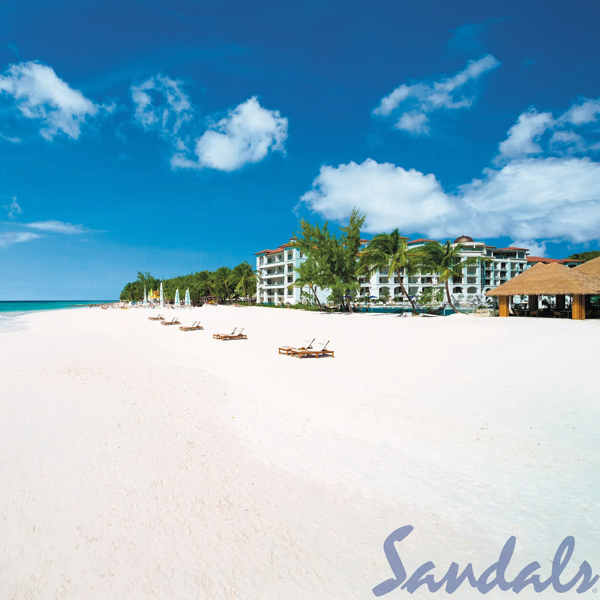 Der lange, weiße Sandstrand auf Barbados erstreckt sich entlang eines luxuriösen Resorts, mit Palmen und Liegestühlen, die auf den ruhigen blauen Ozean blicken. Der Himmel ist klar und sonnig, ideal für einen entspannten Strandtag.