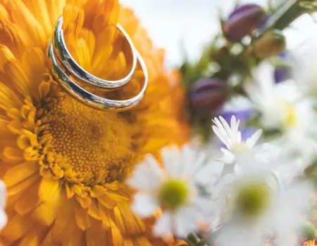 DIY Ringpräsentation