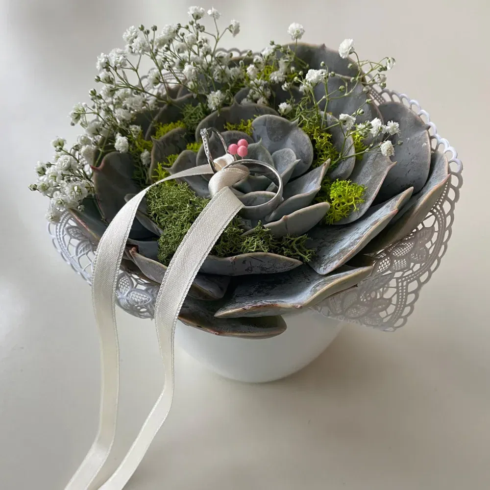DIY Ringpräsentation Sukkulente