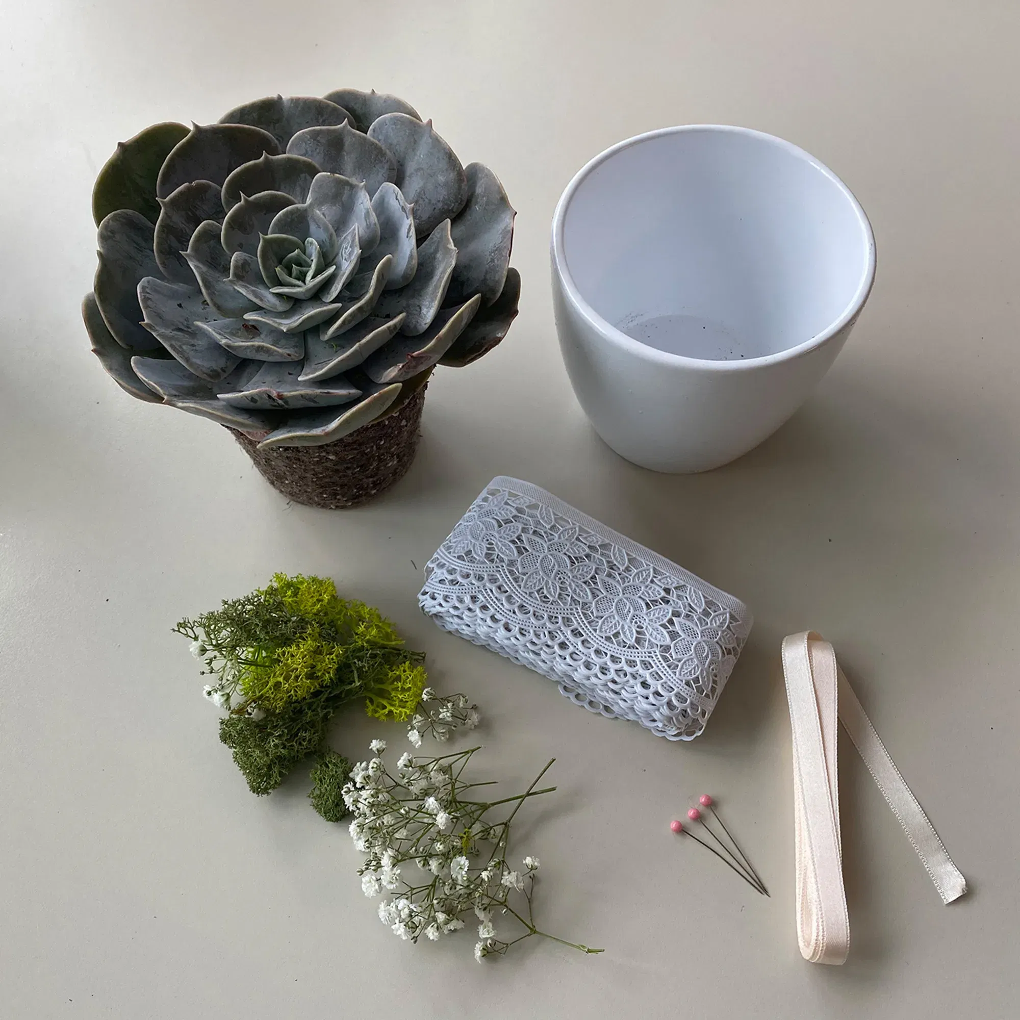 DIY Ringpräsentation Sukkulente Utensilien