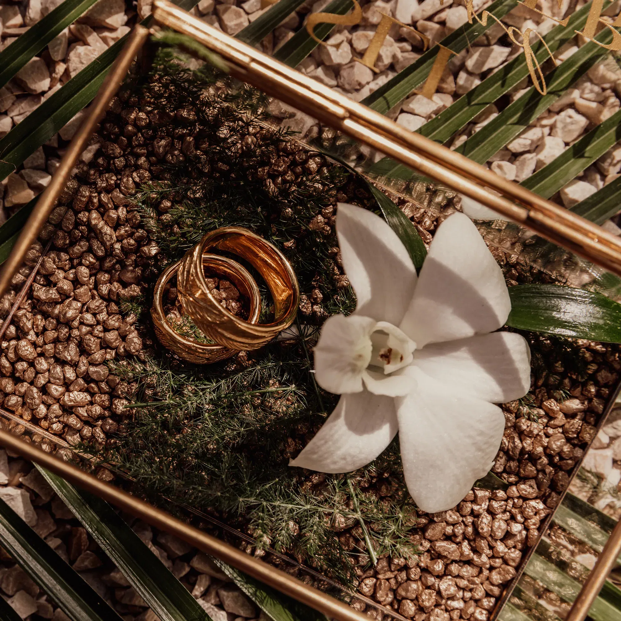 Ringpräsentation in einer Glasschatulle