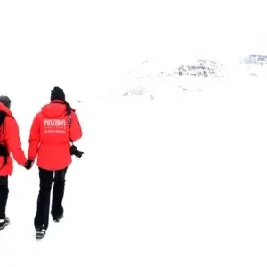 Paar spaziert in der Arktis