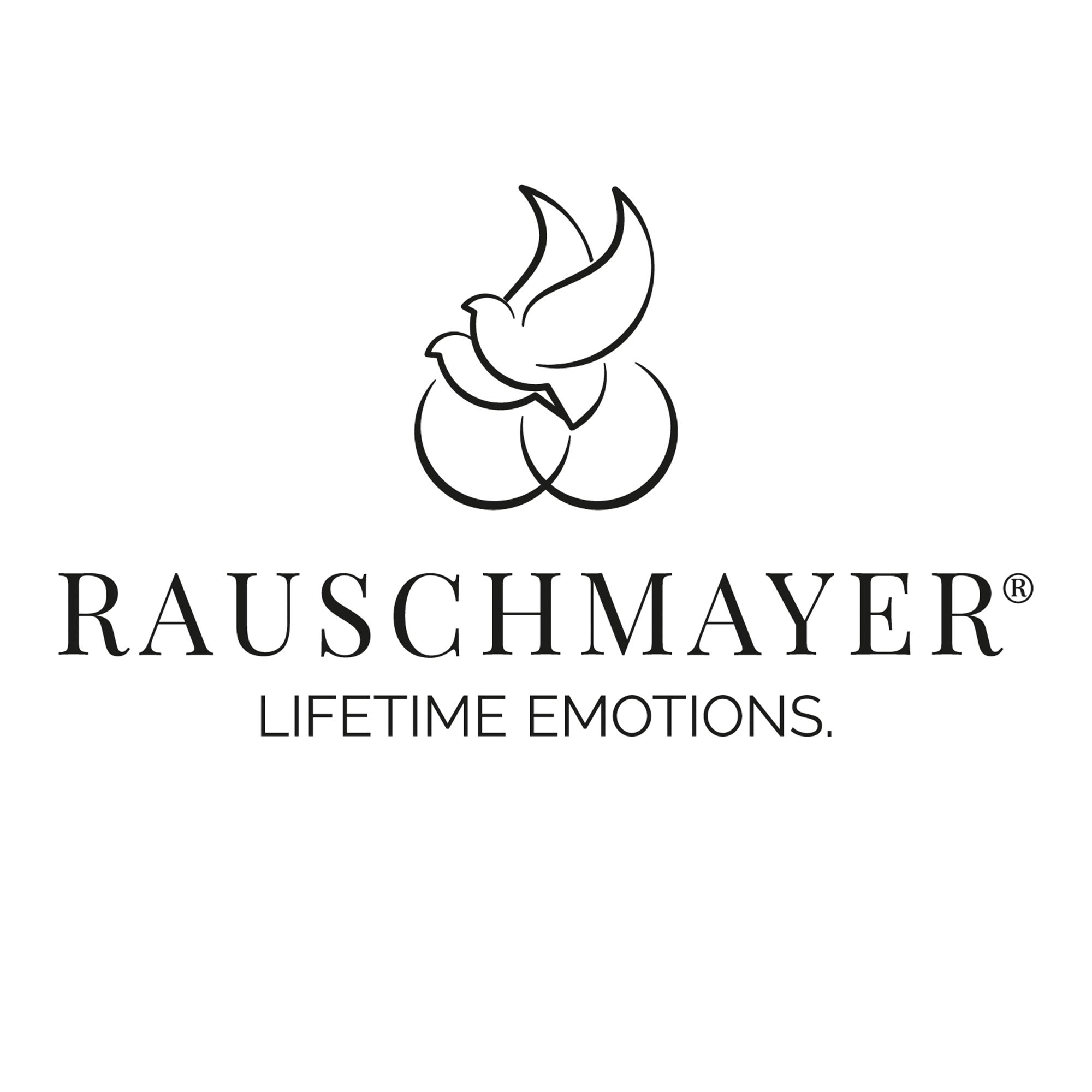 Logo Rauschmayer