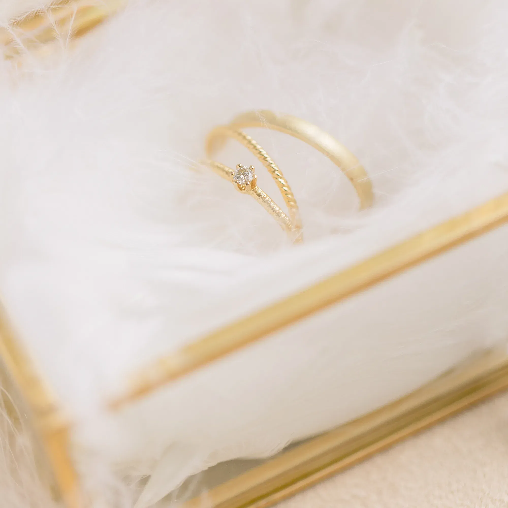 Ein Ringpaar drapiert in einer mit Federn gefüllte Glastruhe.