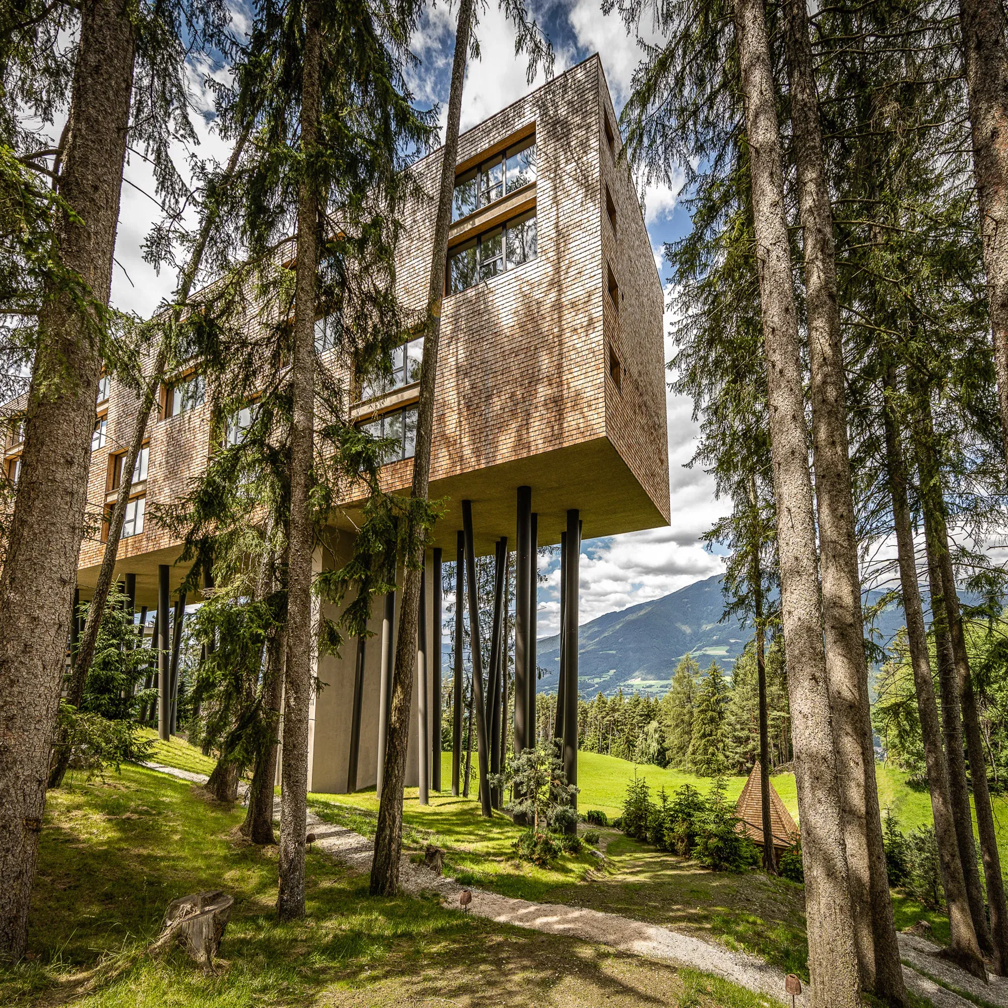 Außenansicht des My Arbor Baumhotels im Sommer, umgeben von Wald und Bergen in Südtirol.