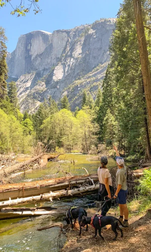 Beim Wandern im Nationalpark stehen zwei Menschen mit Hunden am Fluss und bestaunen die markante Felswand in der Ferne.