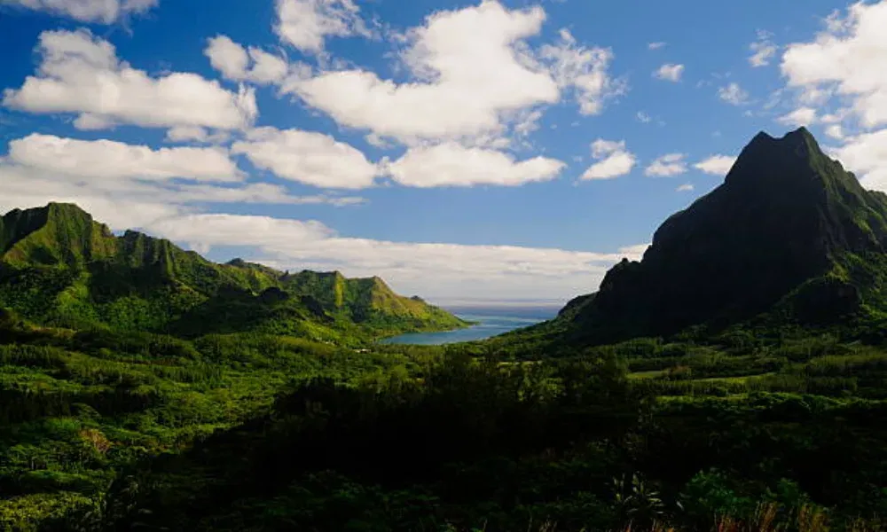 Panoramablick auf ein tropisches Tal mit grünen Bergen, dichter Vegetation und einem Meerblick im Hintergrund.