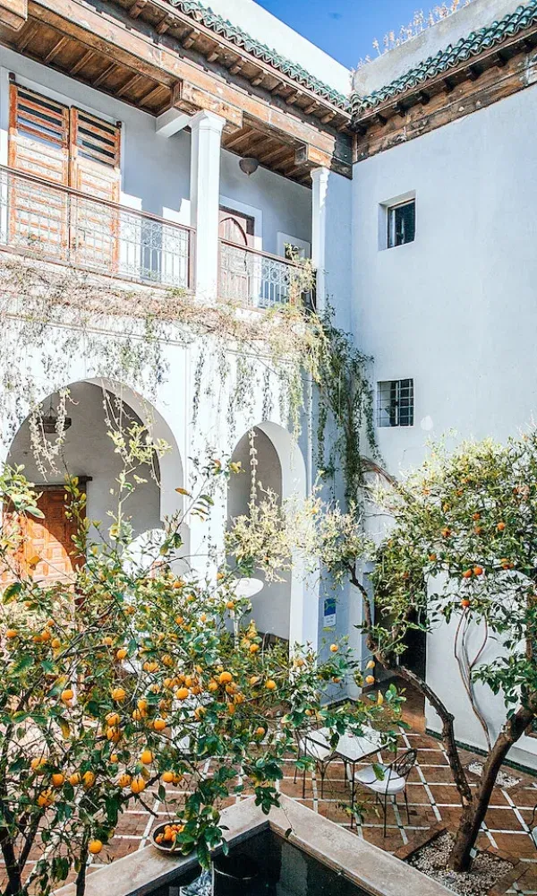 Innenhof eines orientalischen Hauses mit verwunschenem Garten, weißen Wänden, Rankpflanzen und reifen Orangen am Baum.