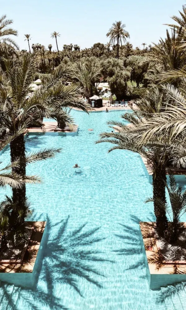 Eine tropische Poollandschaft mit langen Schatten von Palmen und einer einzelnen schwimmenden Person im Zentrum.