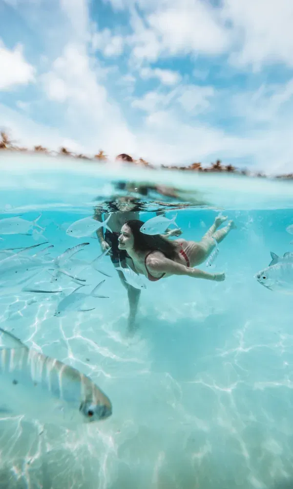 Frau in rotem Bikini schwimmt zwischen silbernen Fischen im kristallklaren Wasser, halb über und unter Wasser sichtbar.