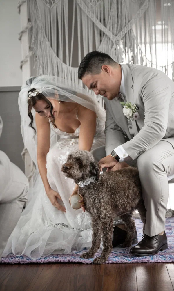 Der Hund bringt die Ringe zum Altar