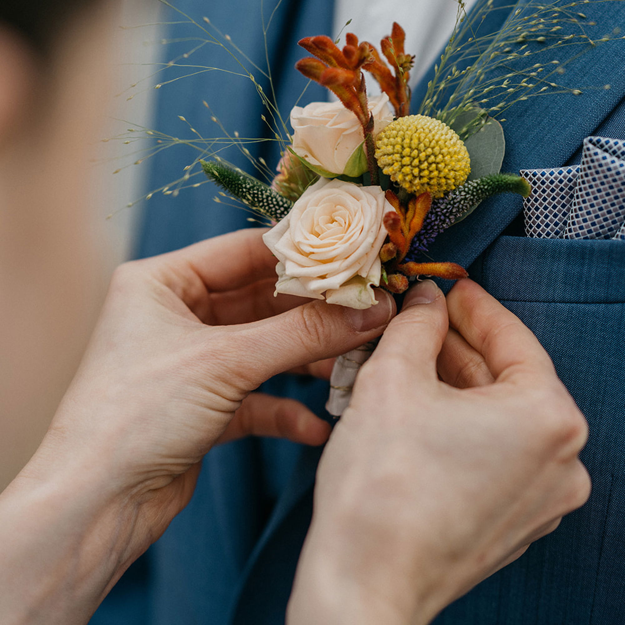 Detailaufnahme von einer Boutonniere, die an einem blauen Anzug angebracht wird. Das florale Design umfasst weiße Rosen, gelbe Kugelblumen und dekorative Gräser, die von einer Hand angepasst werden.