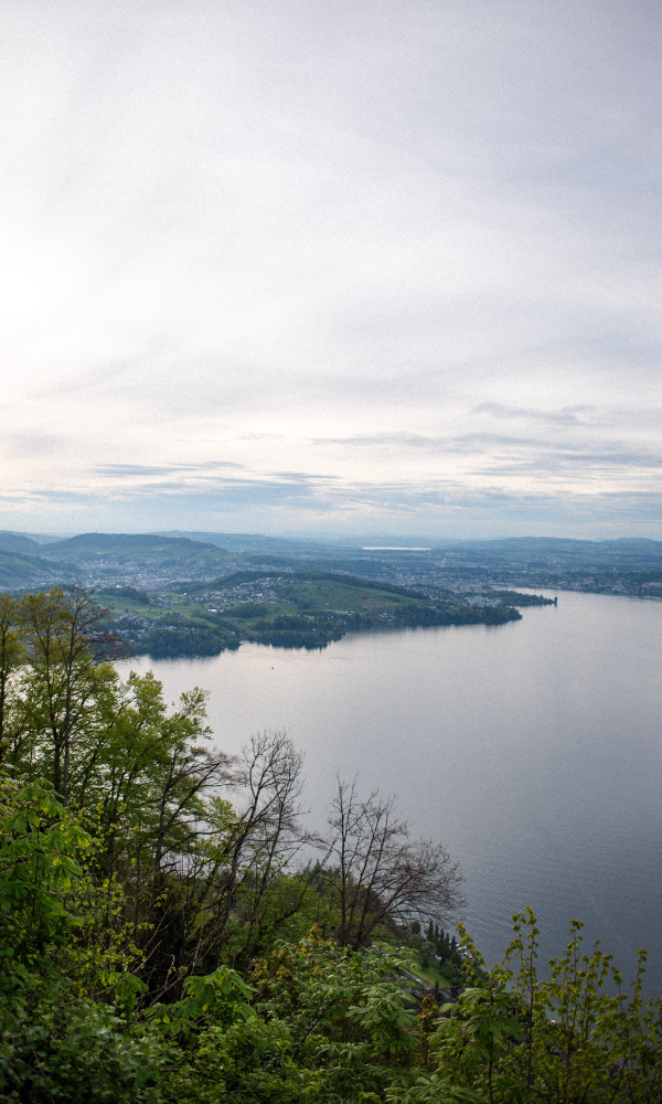 Die traumhafte Aussicht auf den Vierwaldstättersee verzaubert alle.