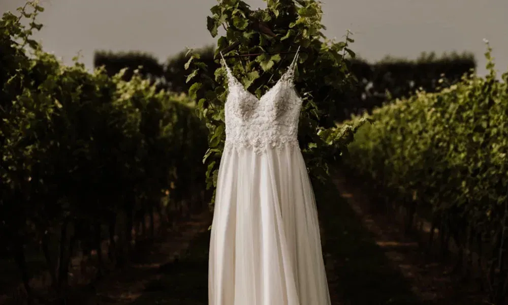 Romantisches Brautkleid auf einem Bügel zwischen Weinreben bei warmem Abendlicht.