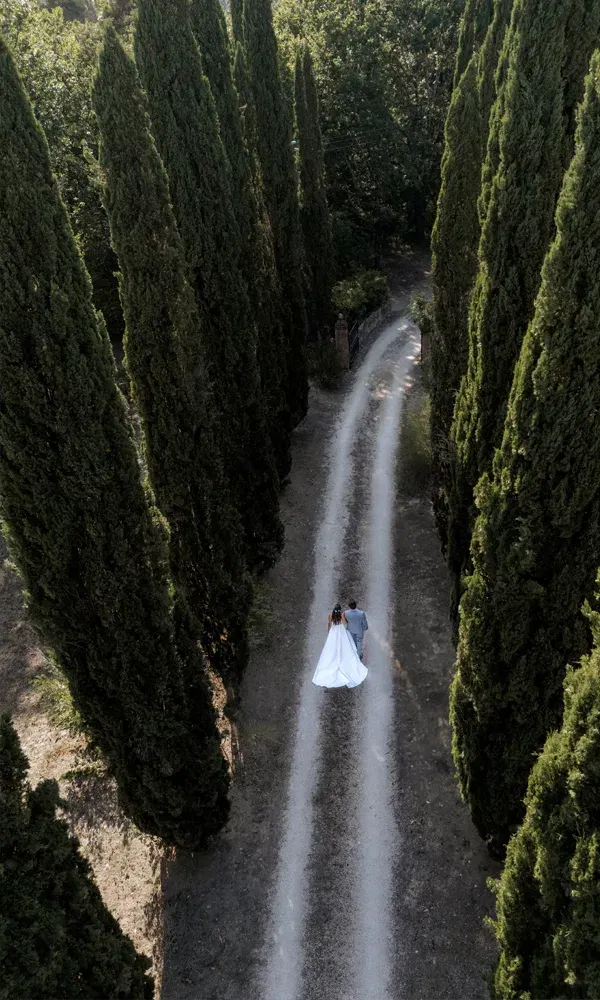 Symbolische Szene aus der Luft: Hochzeitspaar in eleganter Kleidung geht Hand in Hand einen langen Weg durch eine Allee aus Zypressen.