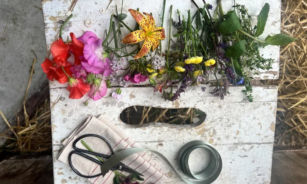 Das Team rund um Evelyn Krebs von Stil und Stiele aus Zürich bietet Freundinnen-Workshops für Blumen-Liebhaberinnen an.
