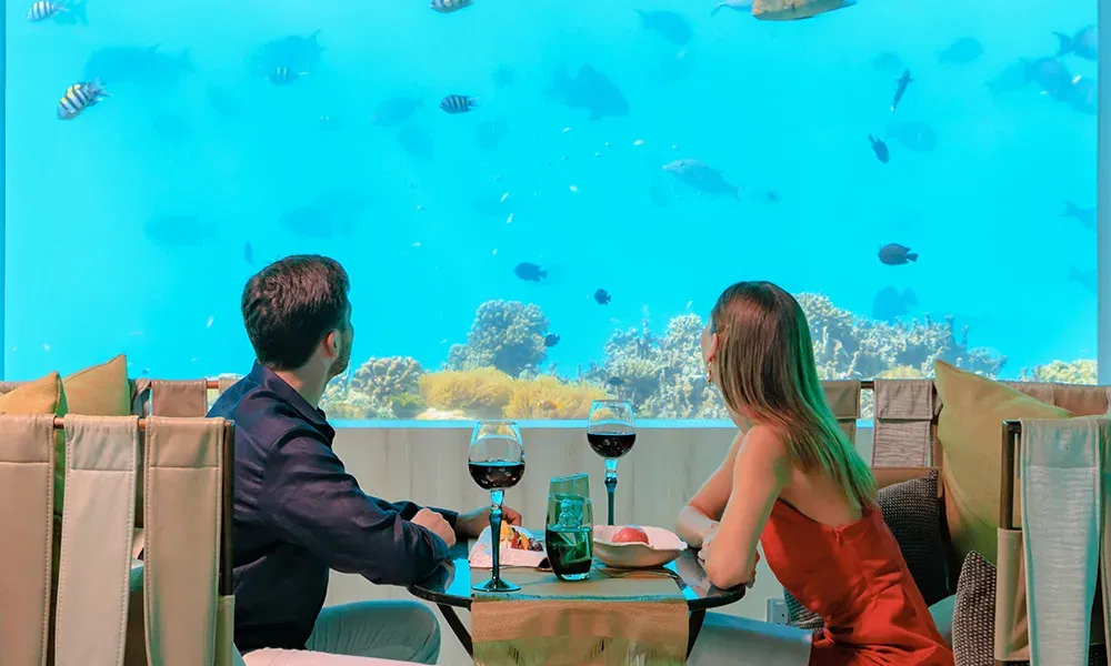 Romantisches Dinner im Unterwasserrestaurant M6m auf den Malediven – unvergesslicher Honeymoon-Moment mit Blick auf die Meereswelt