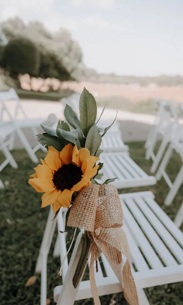 Weiße Stuhlreihe im Freien, geschmückt mit einer einzelnen Sonnenblume und rustikalem Juteband.