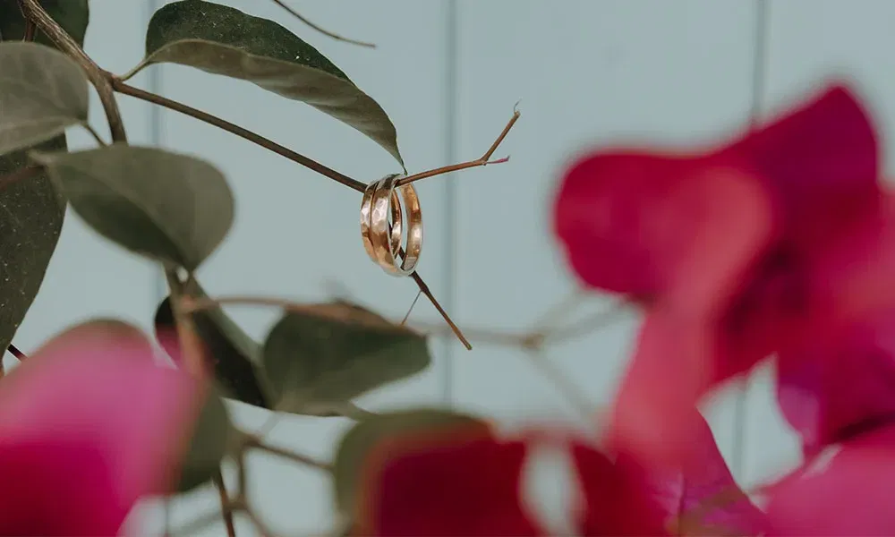 Zwei goldene Eheringe hängen auf einem filigranen Zweig, umgeben von Blättern und pinken Blüten im Vordergrund.