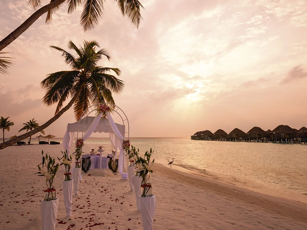 Eine Traulocation direkt am Strand unter Palmen bei Sonnenuntergang